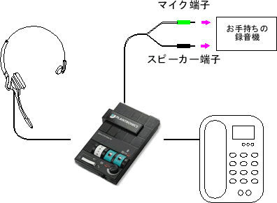 配線図